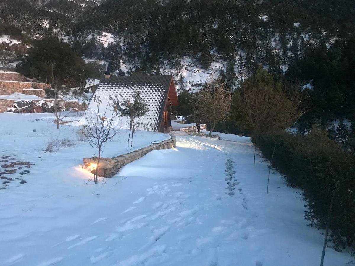 Chalet In The Forest 卡拉维塔 外观 照片