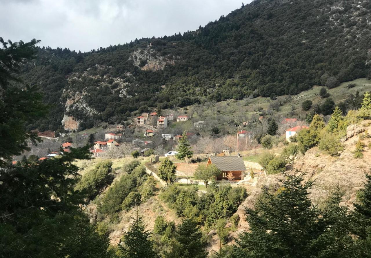 Chalet In The Forest 卡拉维塔 外观 照片