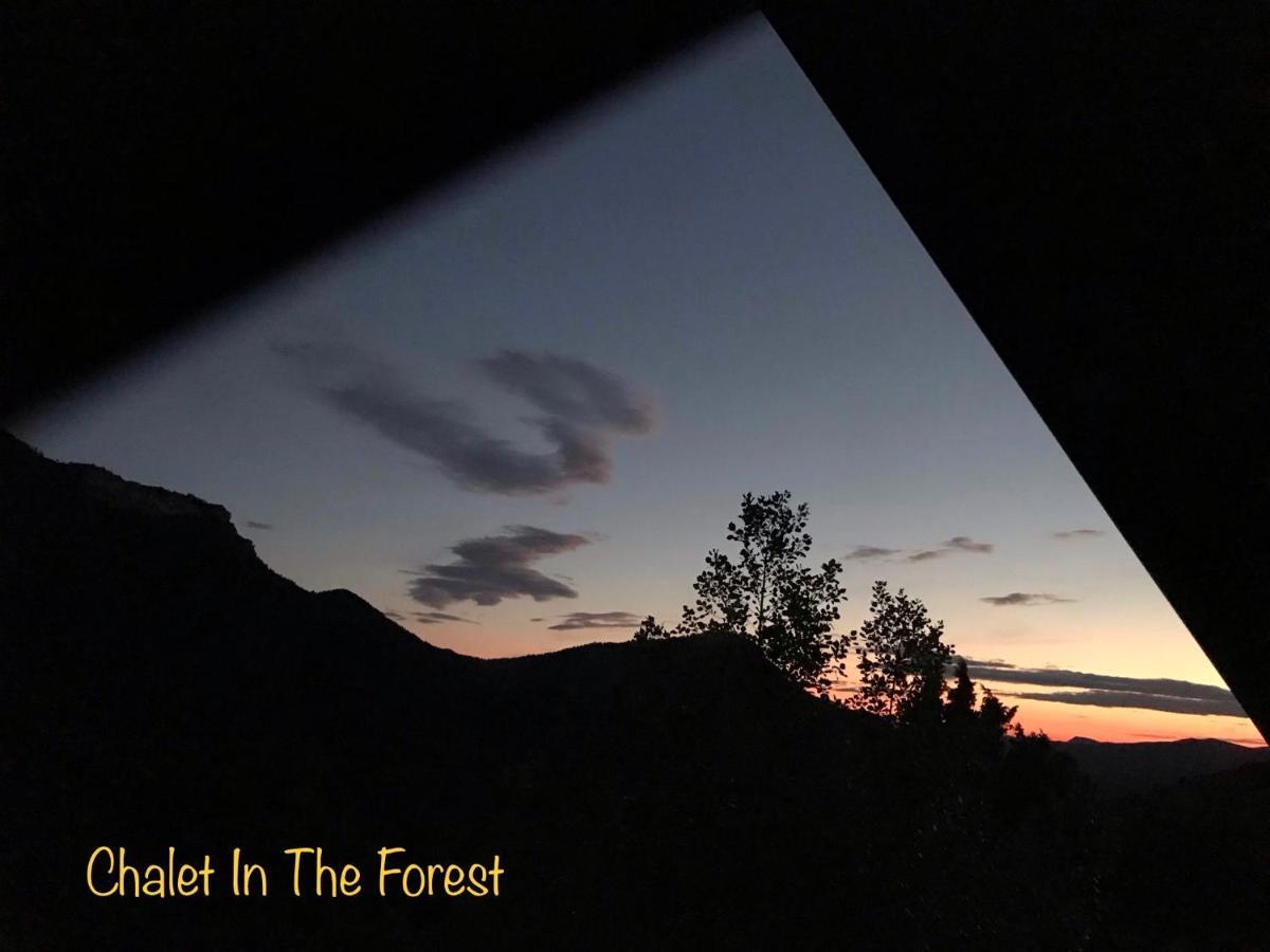 Chalet In The Forest 卡拉维塔 外观 照片