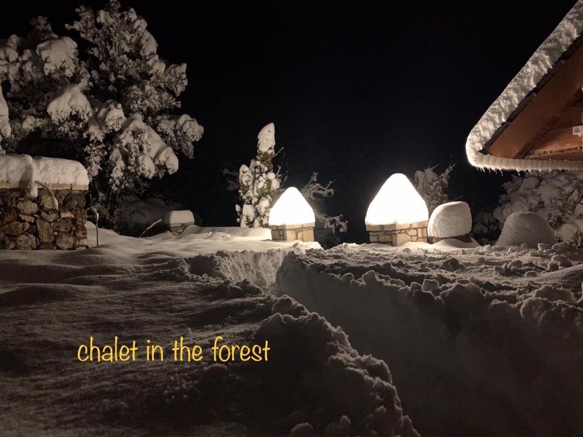 Chalet In The Forest 卡拉维塔 外观 照片