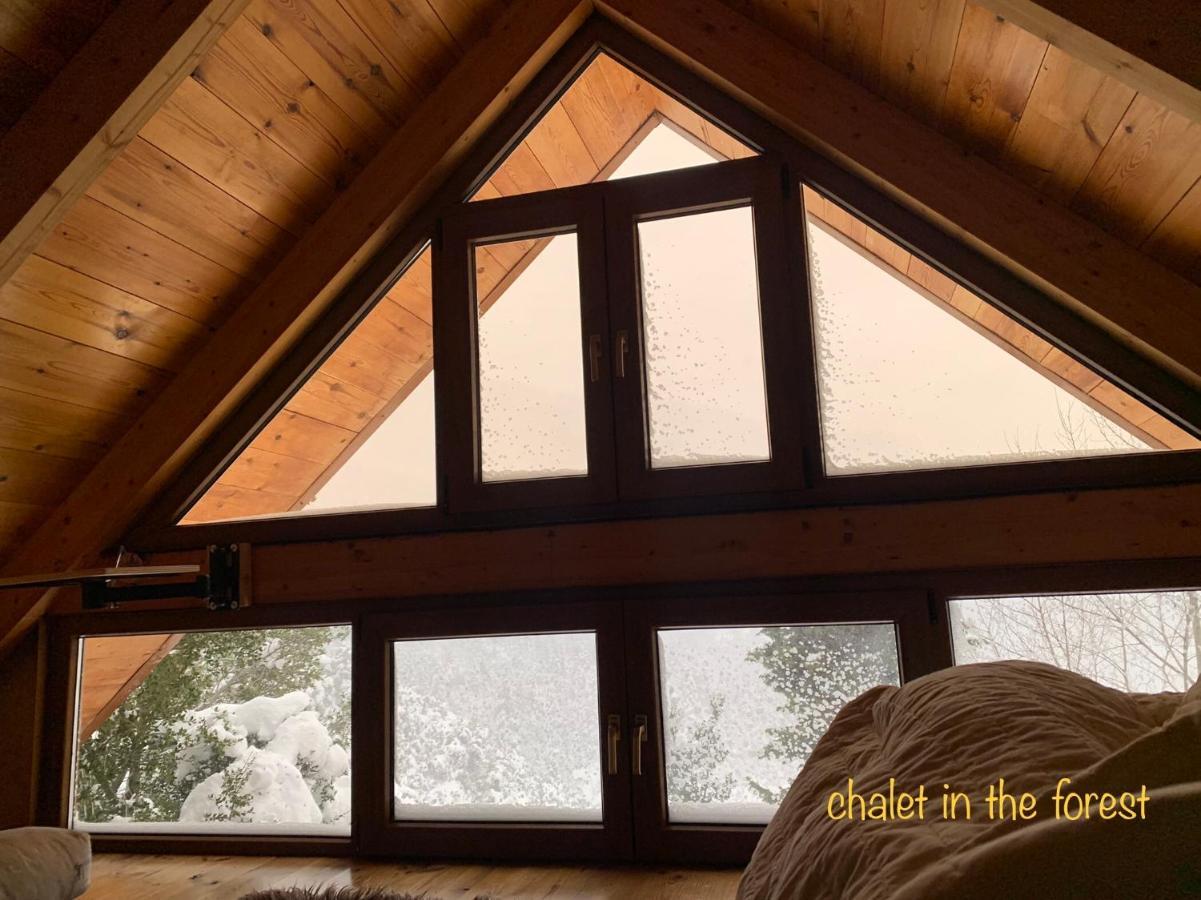 Chalet In The Forest 卡拉维塔 外观 照片