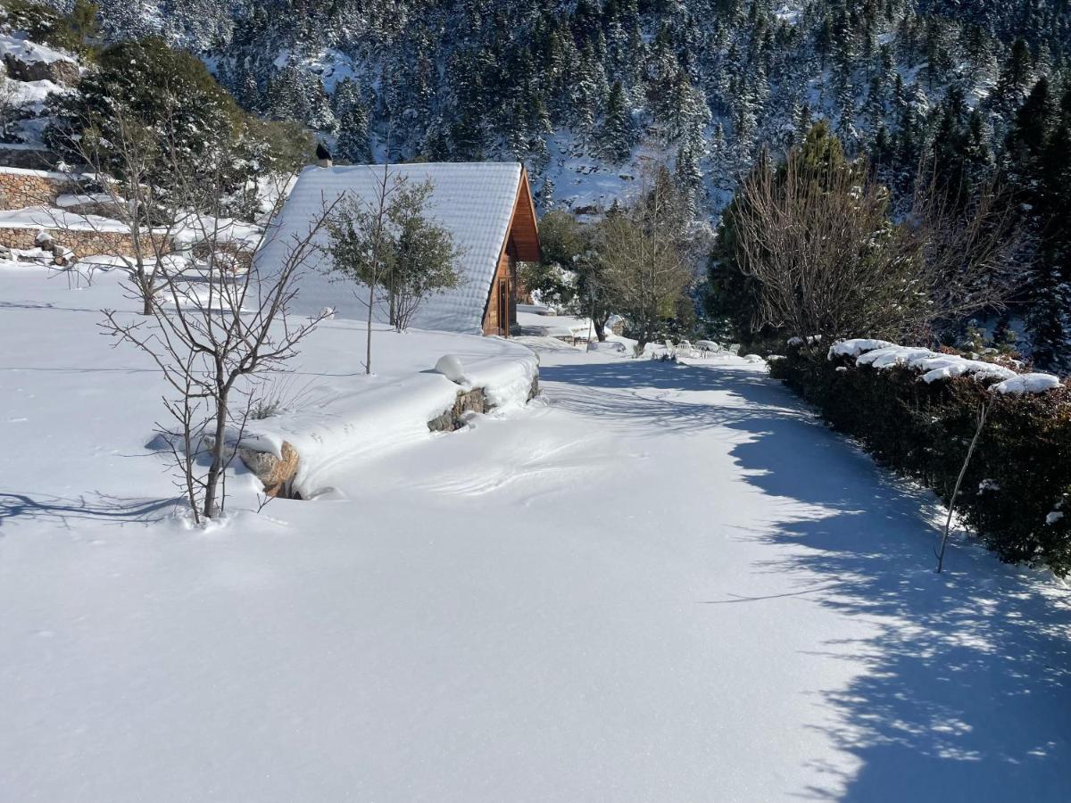Chalet In The Forest 卡拉维塔 外观 照片