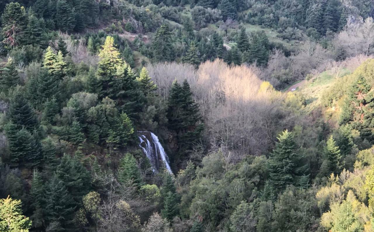 Chalet In The Forest 卡拉维塔 外观 照片