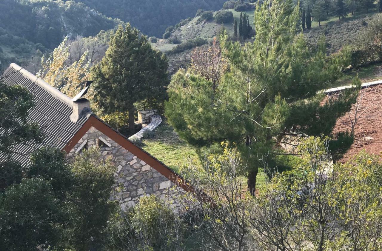 Chalet In The Forest 卡拉维塔 外观 照片