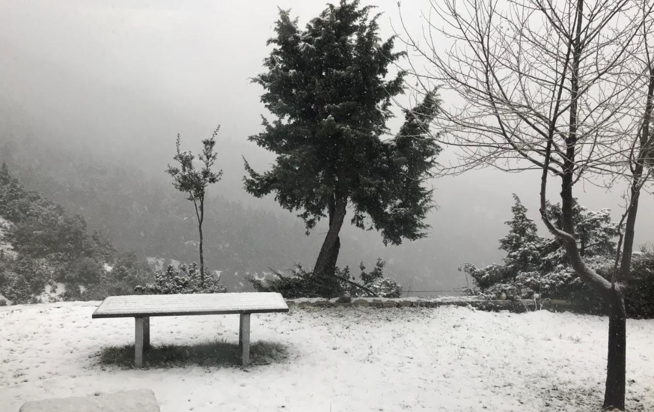 Chalet In The Forest 卡拉维塔 外观 照片