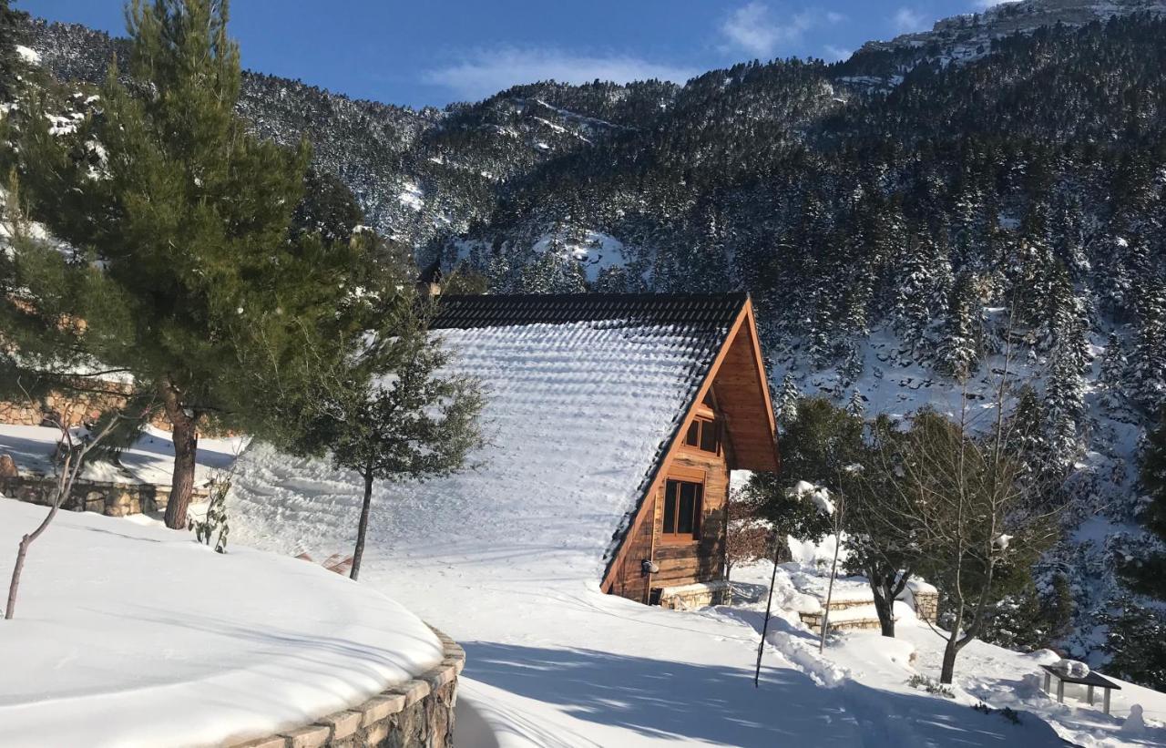 Chalet In The Forest 卡拉维塔 外观 照片