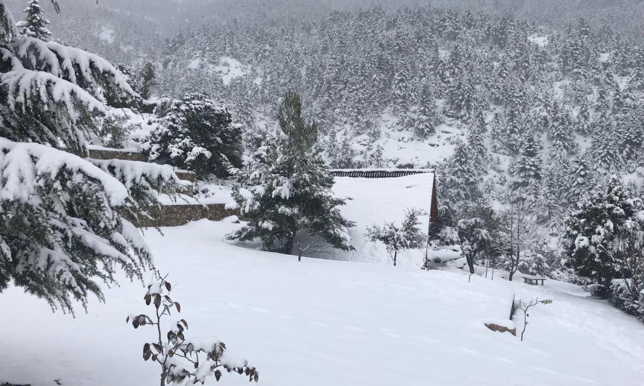 Chalet In The Forest 卡拉维塔 外观 照片