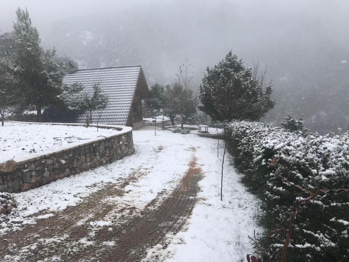 Chalet In The Forest 卡拉维塔 外观 照片