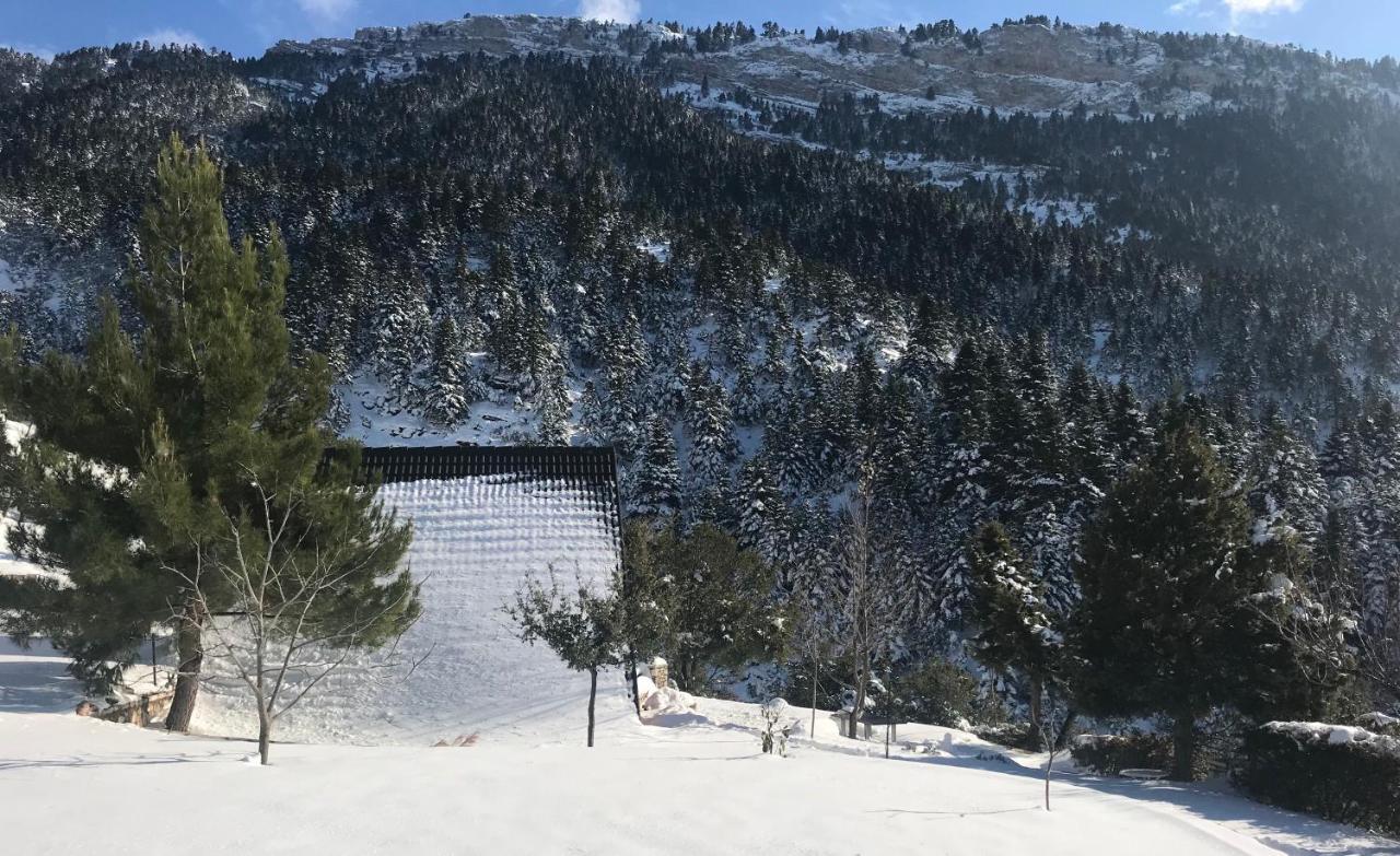 Chalet In The Forest 卡拉维塔 外观 照片